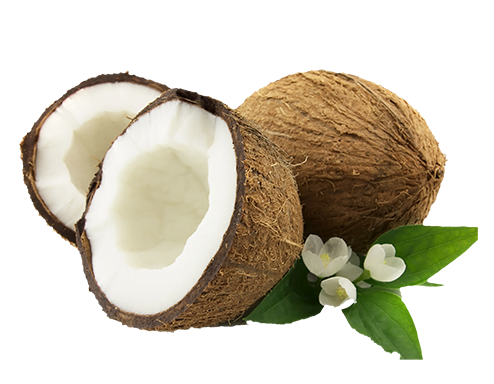 cocot.png