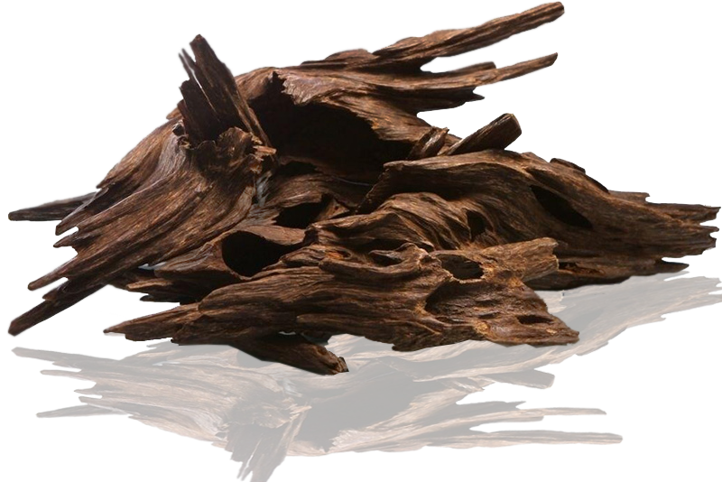 Oud Jamais Vu